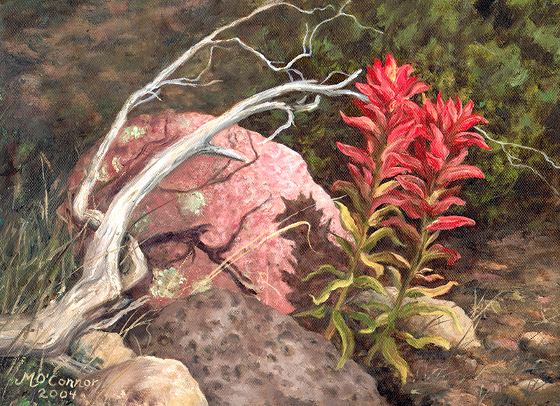INDIAN PAINTBRUSH