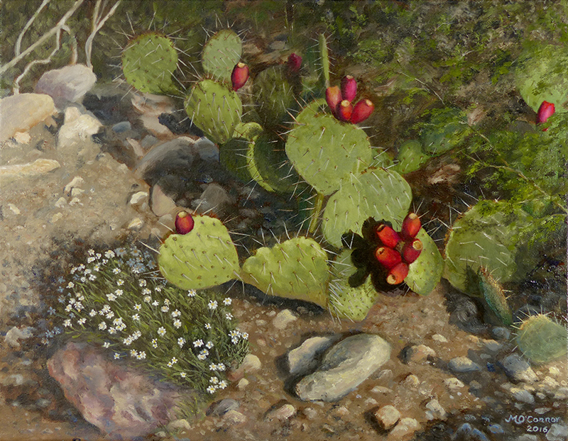 PRICKLY PEAR AND BLACKFOOT DAISIES