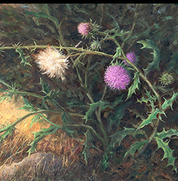 thistle painting